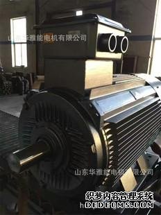 大功率電機